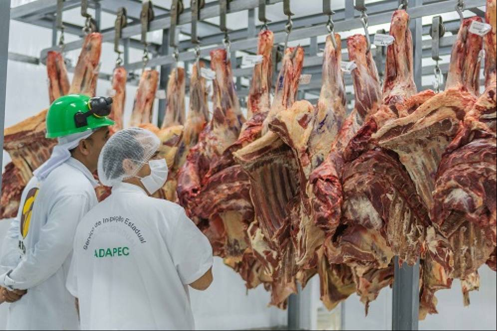 Com a certificação, o frigorífico poderá comercializar carne para todo o Brasil.
