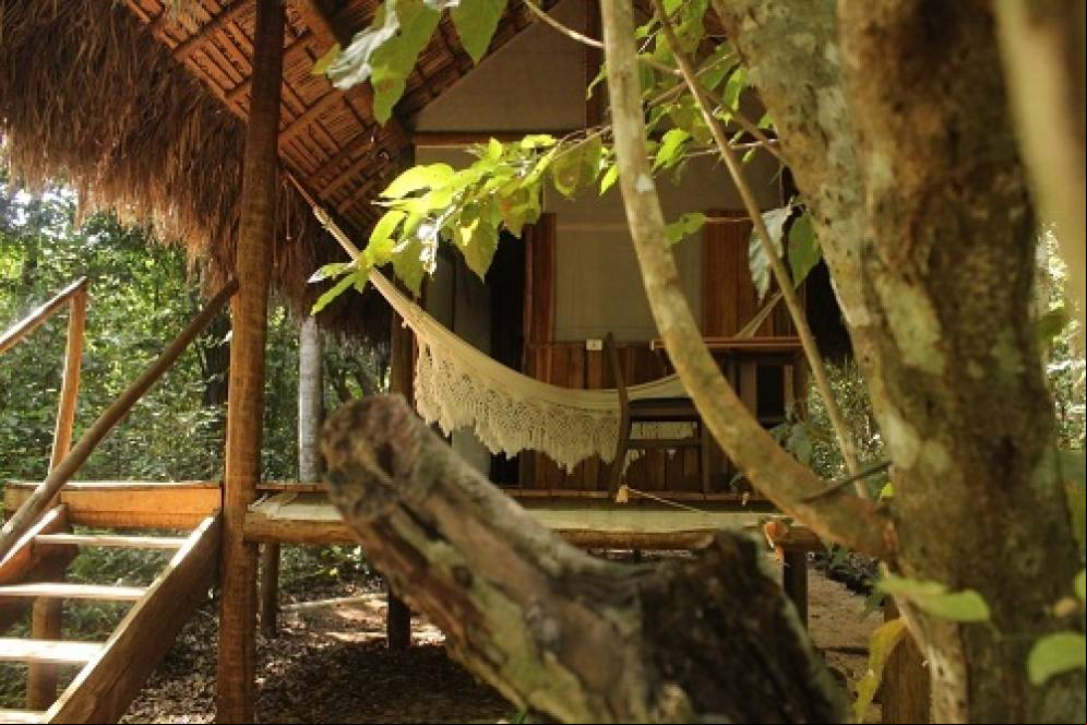 Hotel Ecoaraguaia: hospedagem na floresta