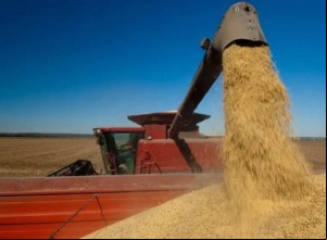 Agro e setor de construção reagem à taxação de LCI e LCA; entenda impactos