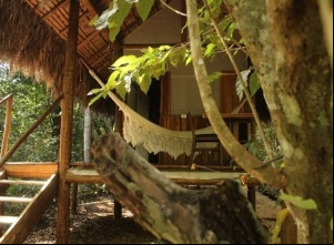 Hotel Ecoaraguaia: hospedagem na floresta