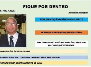 COLUNA FIQUE POR DENTRO